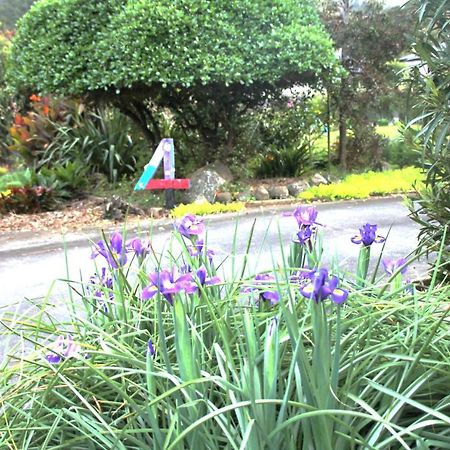U Beauty - B&B Whangarei Exterior foto